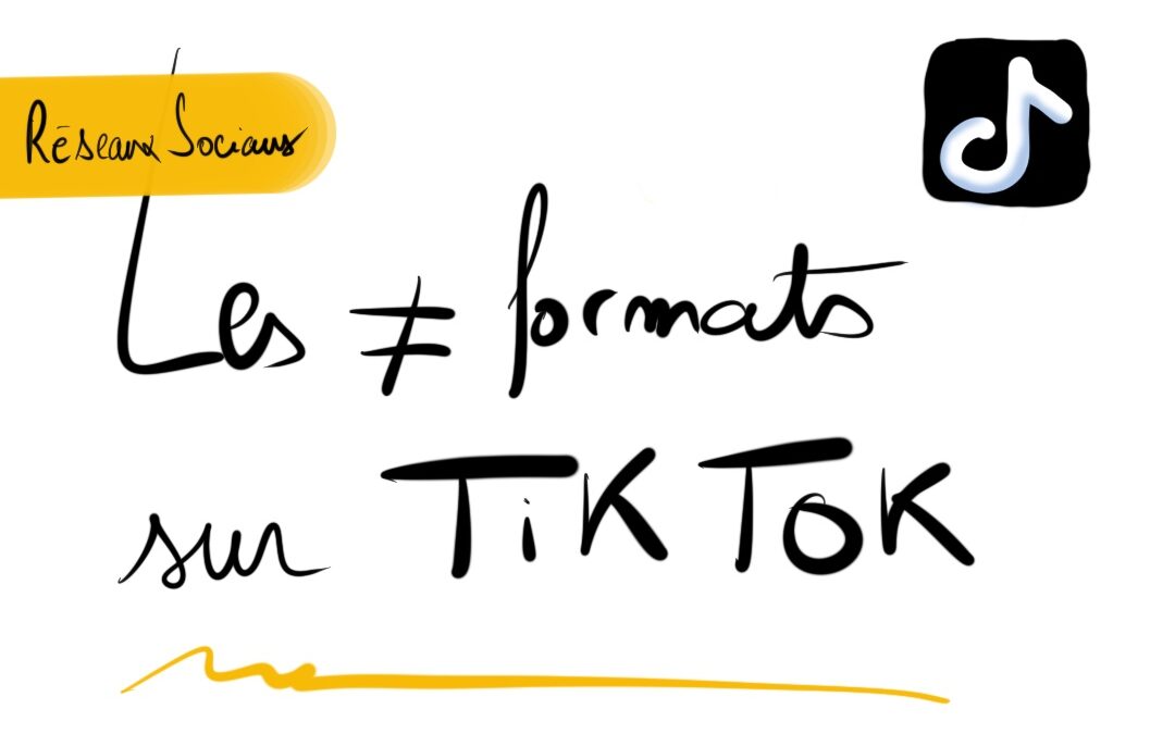 Les divers formats de contenus sur TikTok 